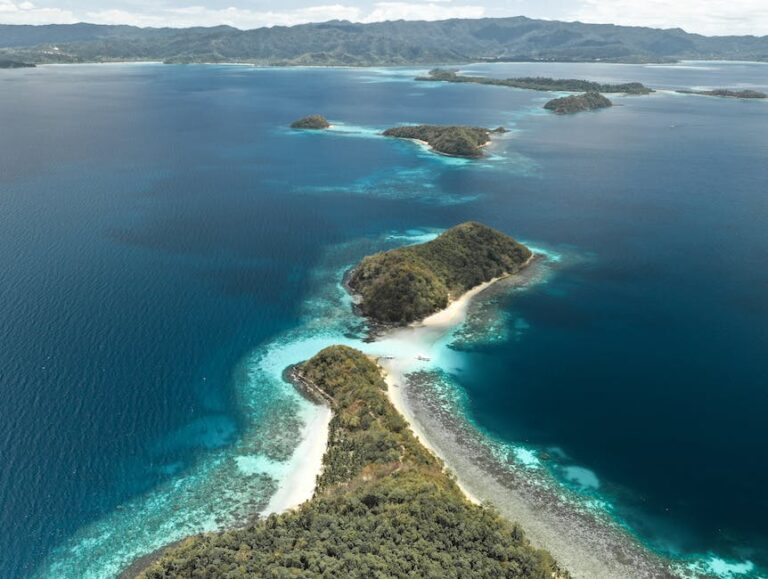 Island Hopping in the Kingdom: A Comprehensive Guide to Tonga’s Top Island Tours